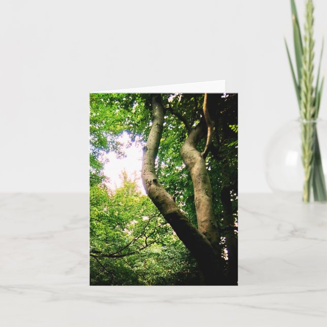 Carte Arbre à vent (Devant)