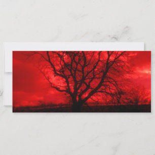 Carte Arbre Abstrait