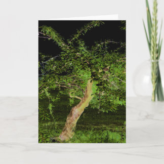 Carte Arbre Apple : Numériquement Arbre Twisted Modifié