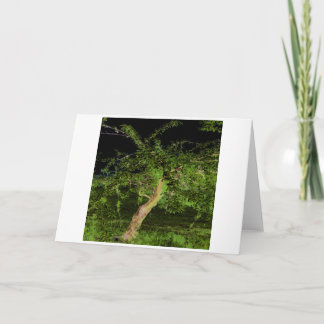 Carte Arbre Apple : Numériquement Arbre Twisted Modifié