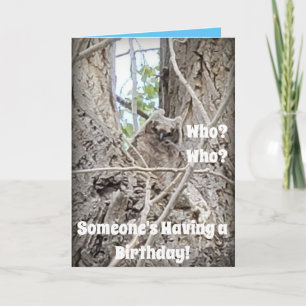 Carte Arbre avec Chouette Bébé, inclinant vers le bas pa