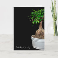 arbre de bonsaïs d'anniversaire dans le pot de