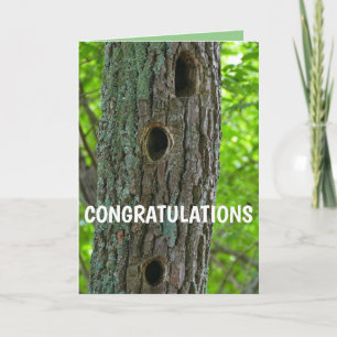 Carte Arbre de nouveaux appartements I