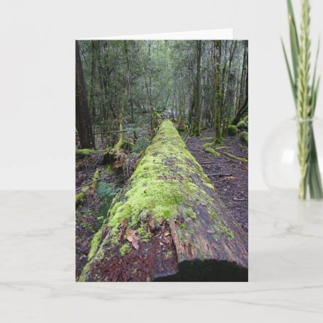 Carte Arbre de Tassie (Devant)