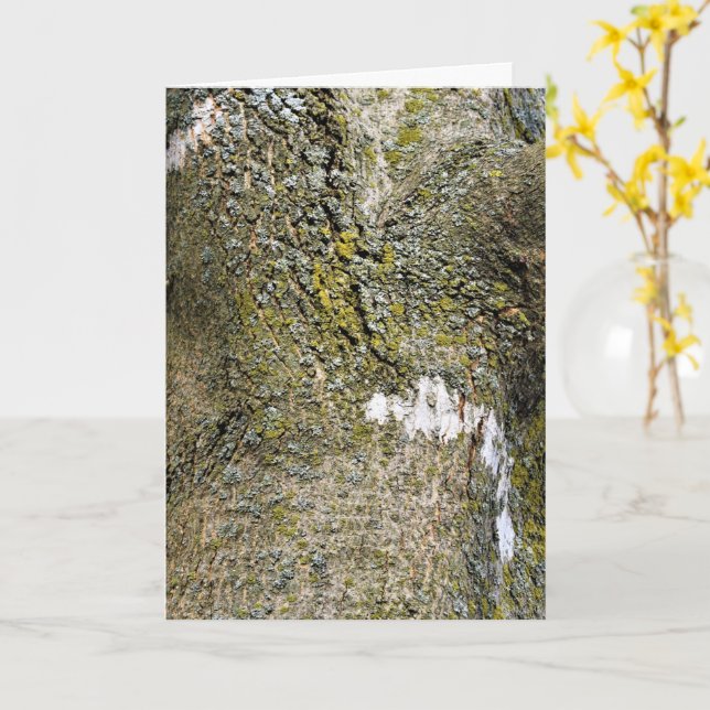 Carte Arbre écorce avec mousse de fond (Fleur jaune)