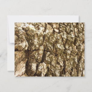 Carte Arbre écorce II Conception texturée naturelle