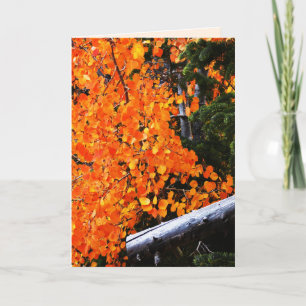 Carte Arbre Orange Avec Journal, Blanc À L'Intérieur