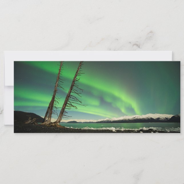 Carte Arbre penché Aurora (Devant)