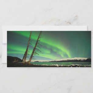 Carte Arbre penché Aurora