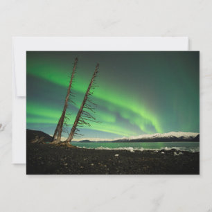 Carte Arbre penché Aurora