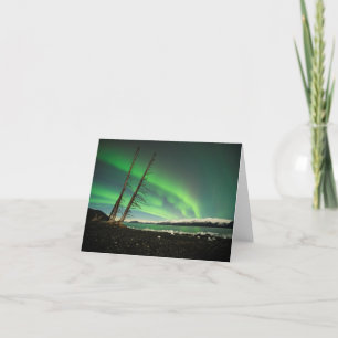 Carte Arbre penché Aurora