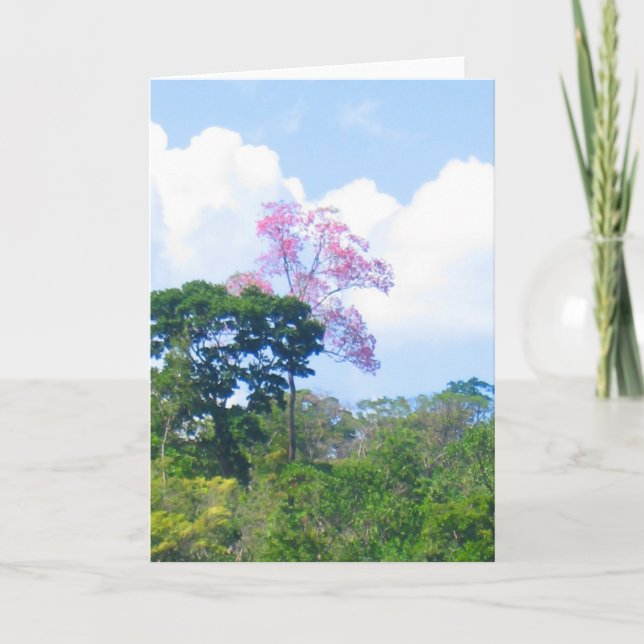 Carte Arbre rose Venezuela Jungle Paysage (Devant)