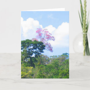 Carte Arbre rose Venezuela Jungle Paysage