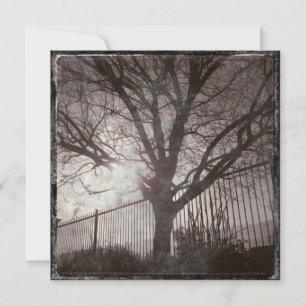 Carte Arbre Rustique Perdu Silhouette Grunge