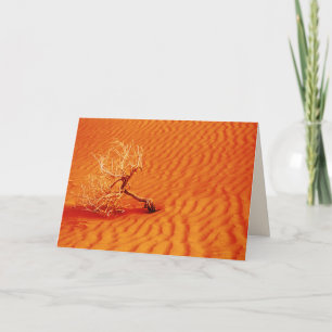 Carte Arbre solitaire dans le sable rouge du désert, bla