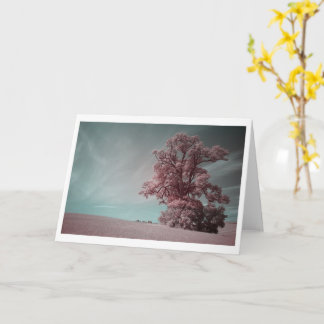 Carte Arbre Solitaire En Photographie Infrarouge (2621)