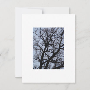 Carte Arbre vampire