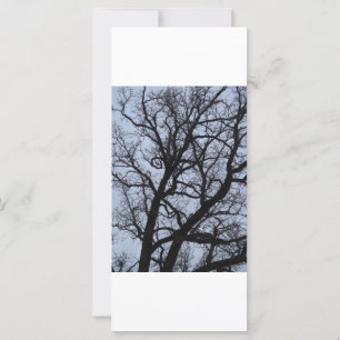 Carte Arbre vampire