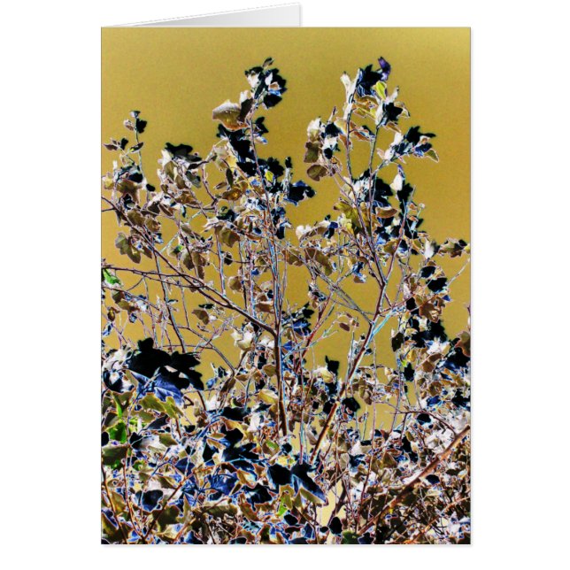 Carte ARBRES (Devant)