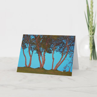 Carte Arbres bleus
