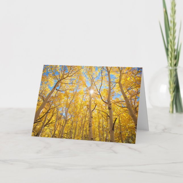 Carte Arbres d'Aspen | Sierra Nevada Mountains, CA (Devant)