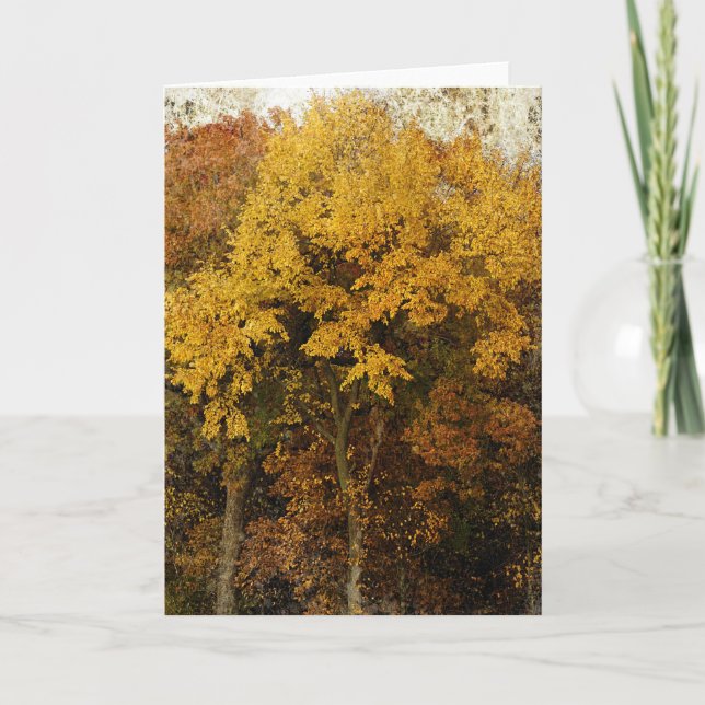 Carte Arbres d'automne toutes les occasions (Devant)