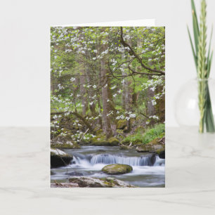 Carte Arbres de cornouiller   Great Smoky Mountain, Tenn