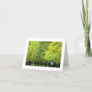 Carte Arbres de Ginkgo sur l'avenue de montagne, PA de