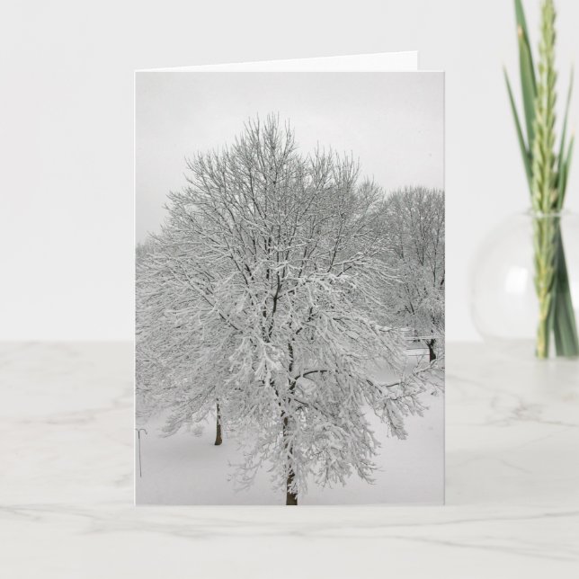 Carte Arbres de neige (Devant)