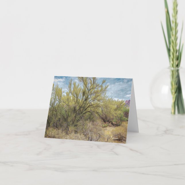 Carte Arbres de Palo Verde, Pusch Ridge (Devant)