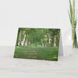 Carte Arbres de rangées supérieures Bryn Mawr