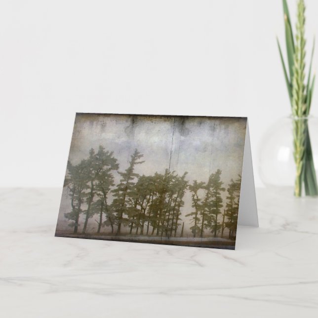 Carte Arbres d'hiver (Devant)