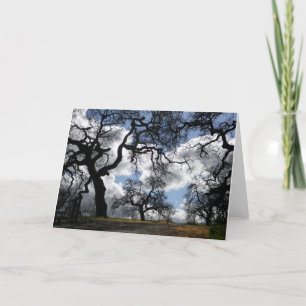 Carte Arbres hantés Belle photo Pittoresque naturelle
