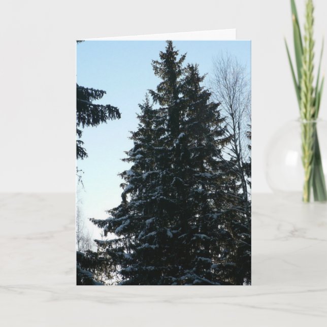 Carte Arbres impeccables dans la forêt (Devant)