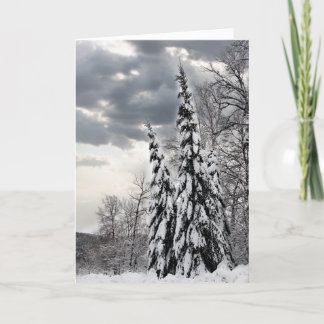 Carte Arbres verts enneigés sous un hiver dramatique