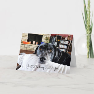 Carte Archiver sur vous   Chien mignon personnalisé