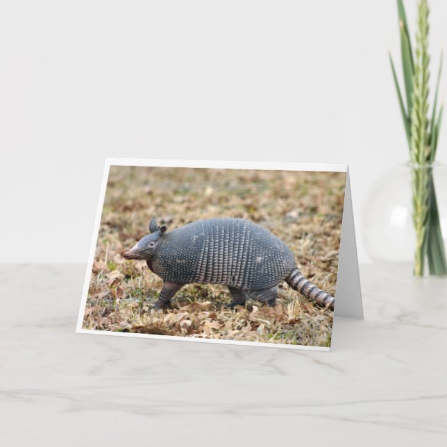 Carte Armadillo (Devant)