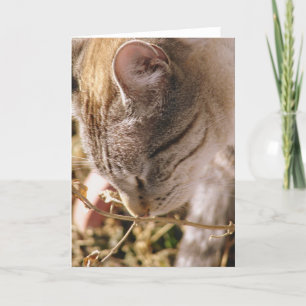 Carte Arrêtez et sentez les fleurs