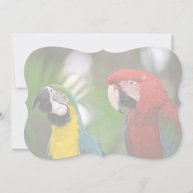 Carte arrière - plan (Devant)