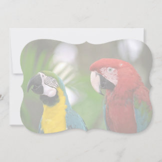 Carte arrière - plan