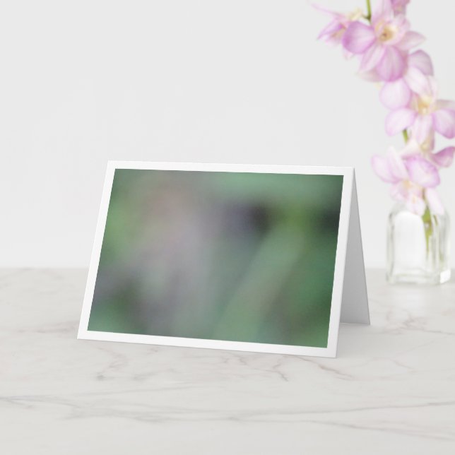 Carte Arrière - plan de flou vert (Orchidée)