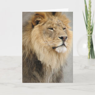 Carte art des lions