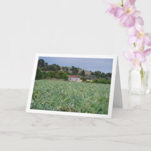 Carte Artichoke Field