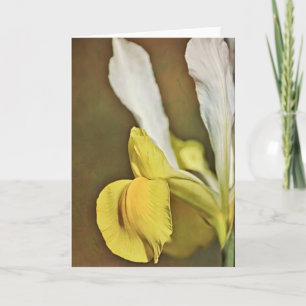 Carte Artsy Dutch Iris Flower Note