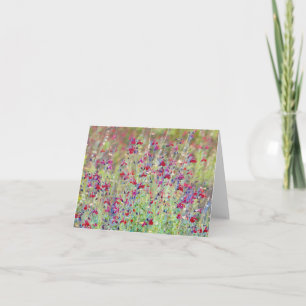 Carte Artsy Meadow Fleurs sauvages Art Note Card