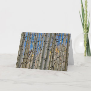 Carte Aspen Groves   Colorado Montagnes Rocheuses