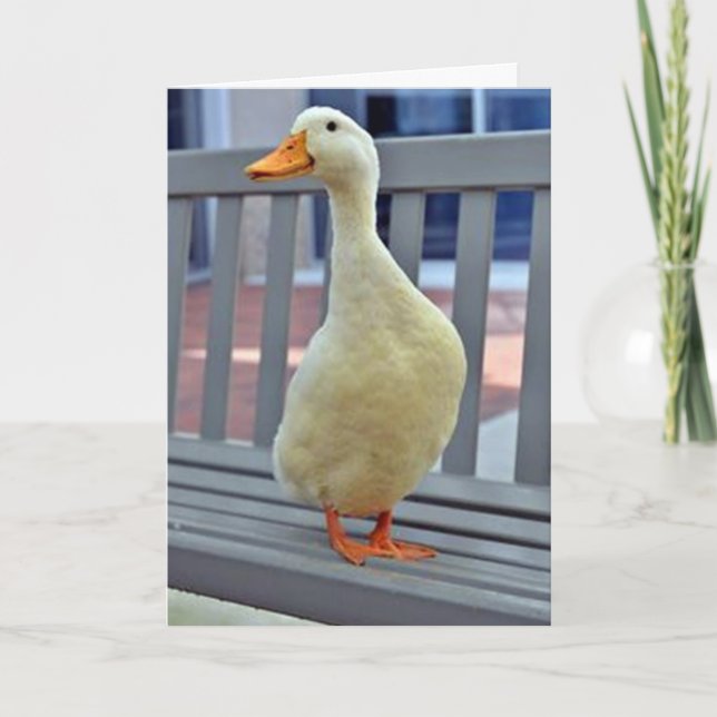 Carte "ASSIS DUCK" dit ***VOUS MANQUEZ*** BOO HOO (Devant)