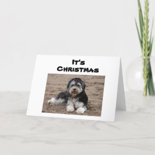 CARTE ASSIS ICI PENSE À VOUS À NOËL