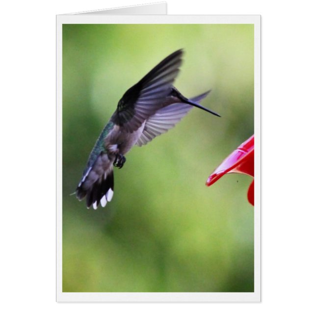 Carte Assistant Bébé Colibri (Devant)