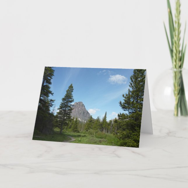 Carte Aster Park Trail au parc national Glacier (Devant)